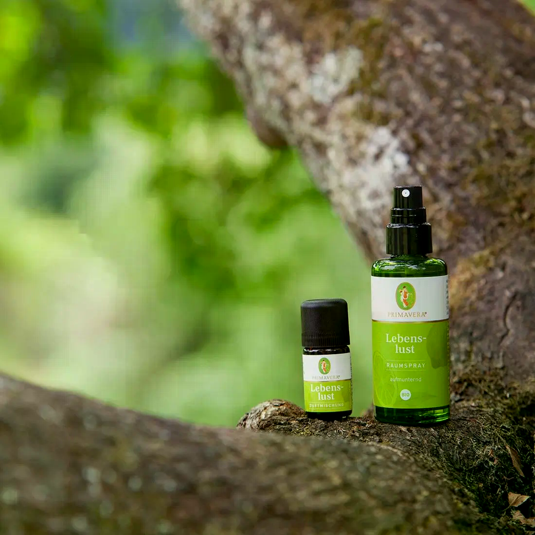 Lebenslust Duftmischung 5 ml