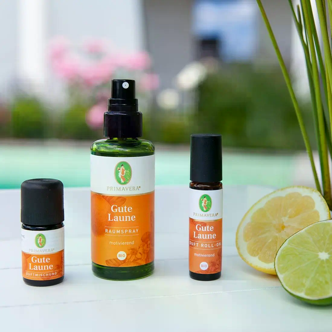 Gute Laune Raumspray bio 50 ml