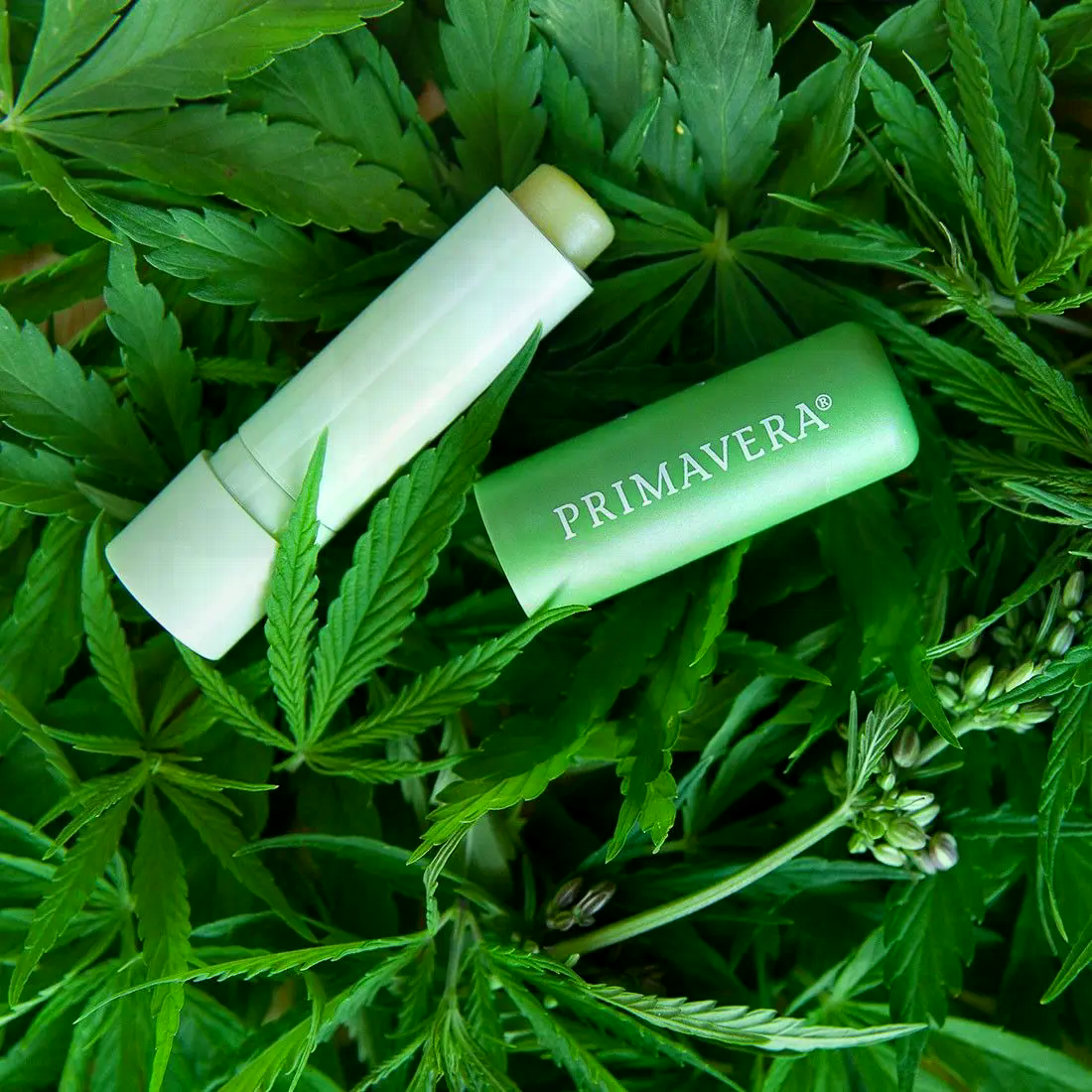 Lip Balm Care & Repair