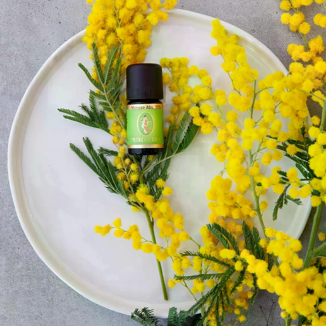 Mimose Absolue 15 % 5 ml