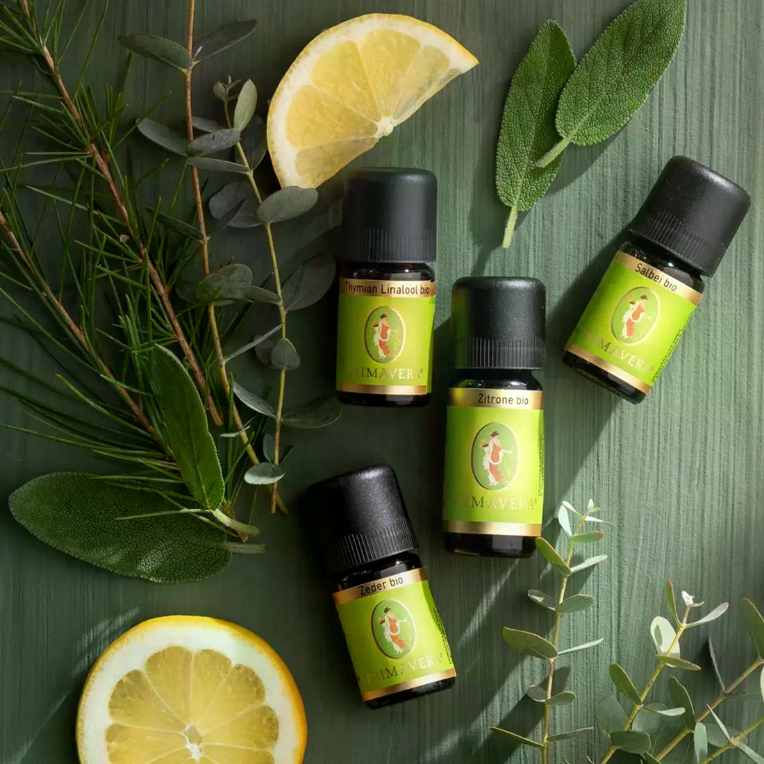 Thymian Linalool bio 5 ml