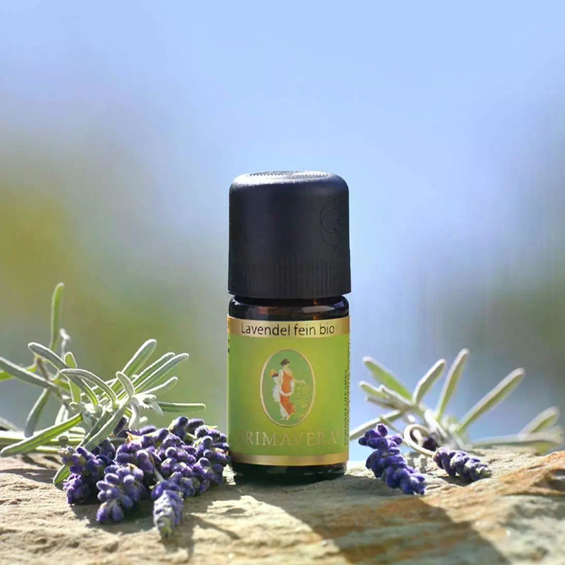 Lavendel fein bio