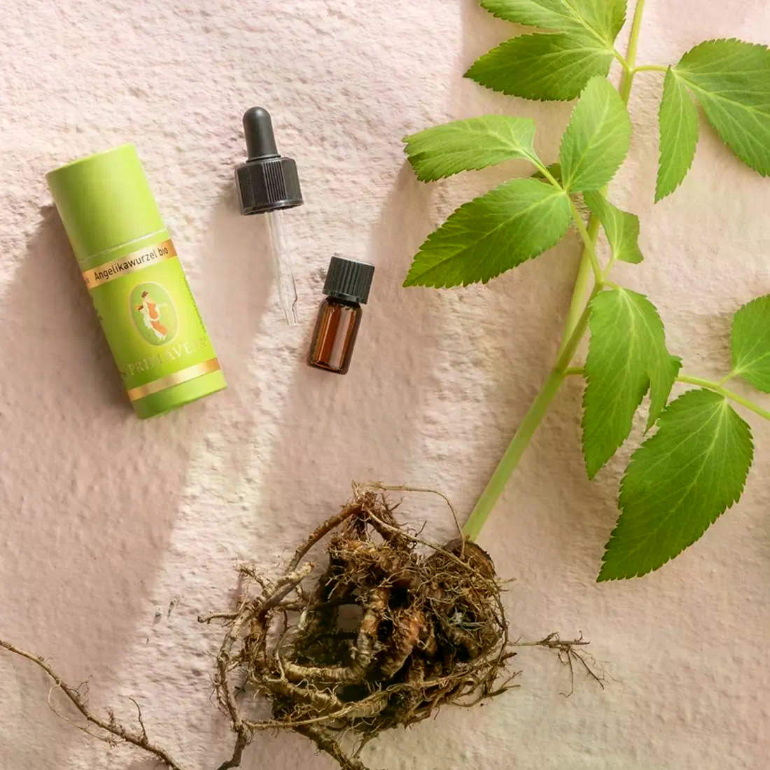 Angelikawurzel bio 5 ml