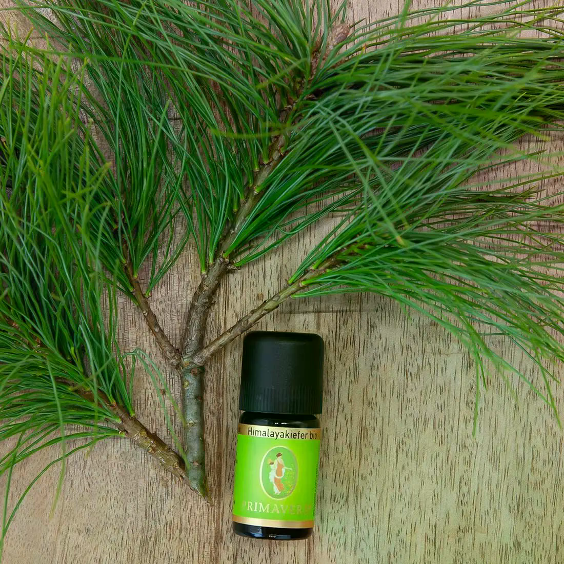 Himalayakiefer bio 5 ml