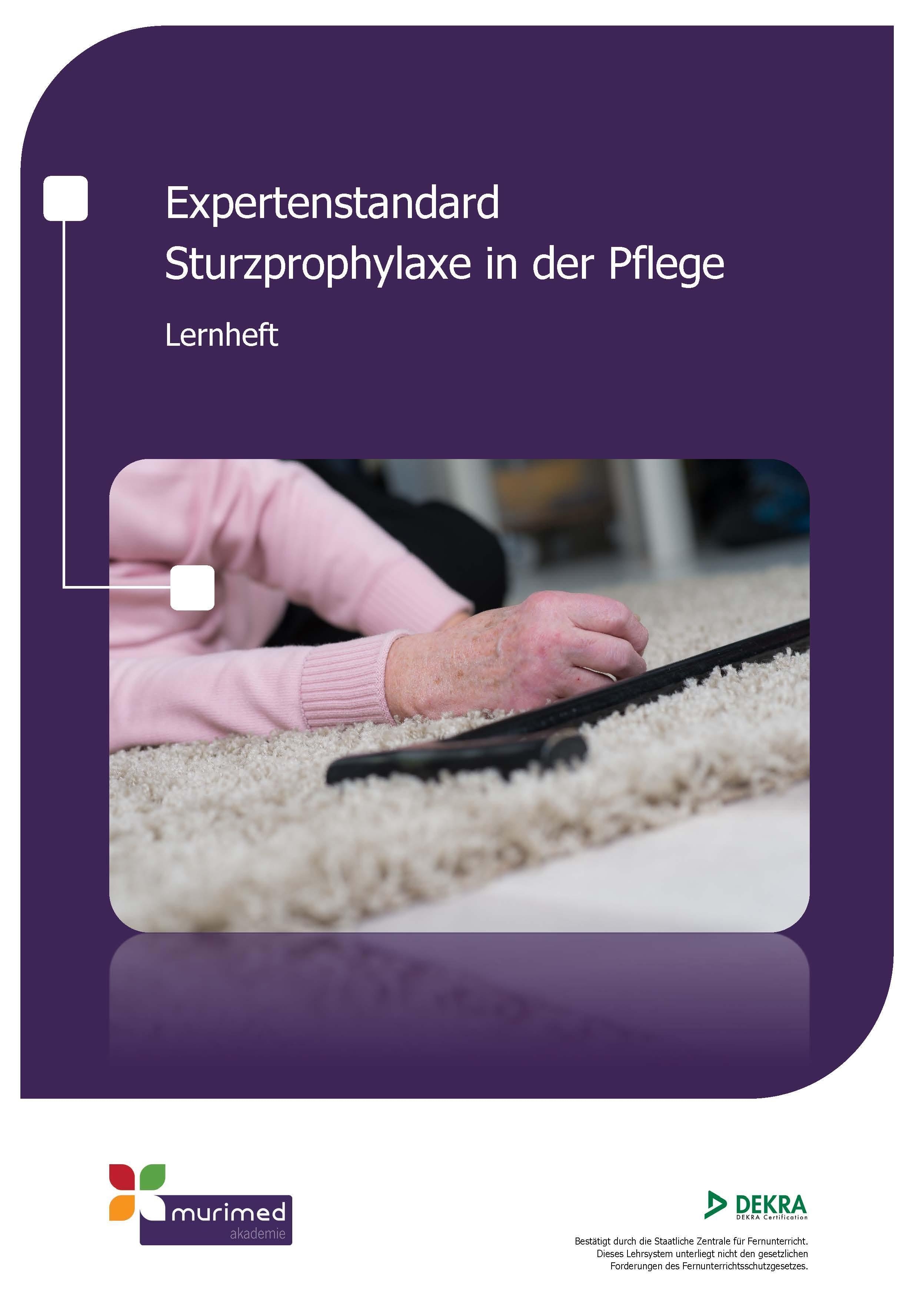 E-Learning ES 01 - Expertenstandard Sturzprophylaxe in der Pflege