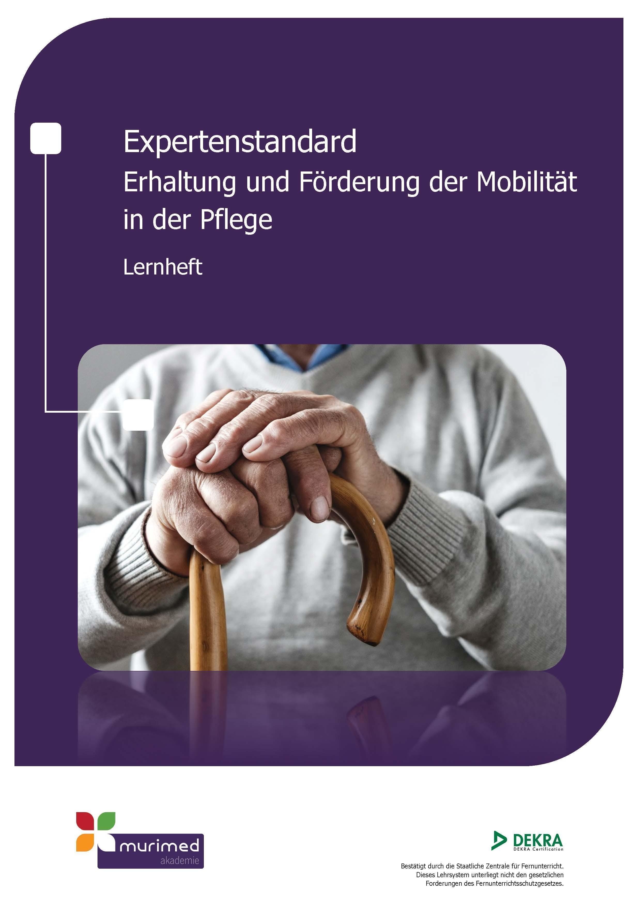 E-Learning ES 08 - Expertenstandard Erhaltung und Förderung der Mobilität in der Pflege