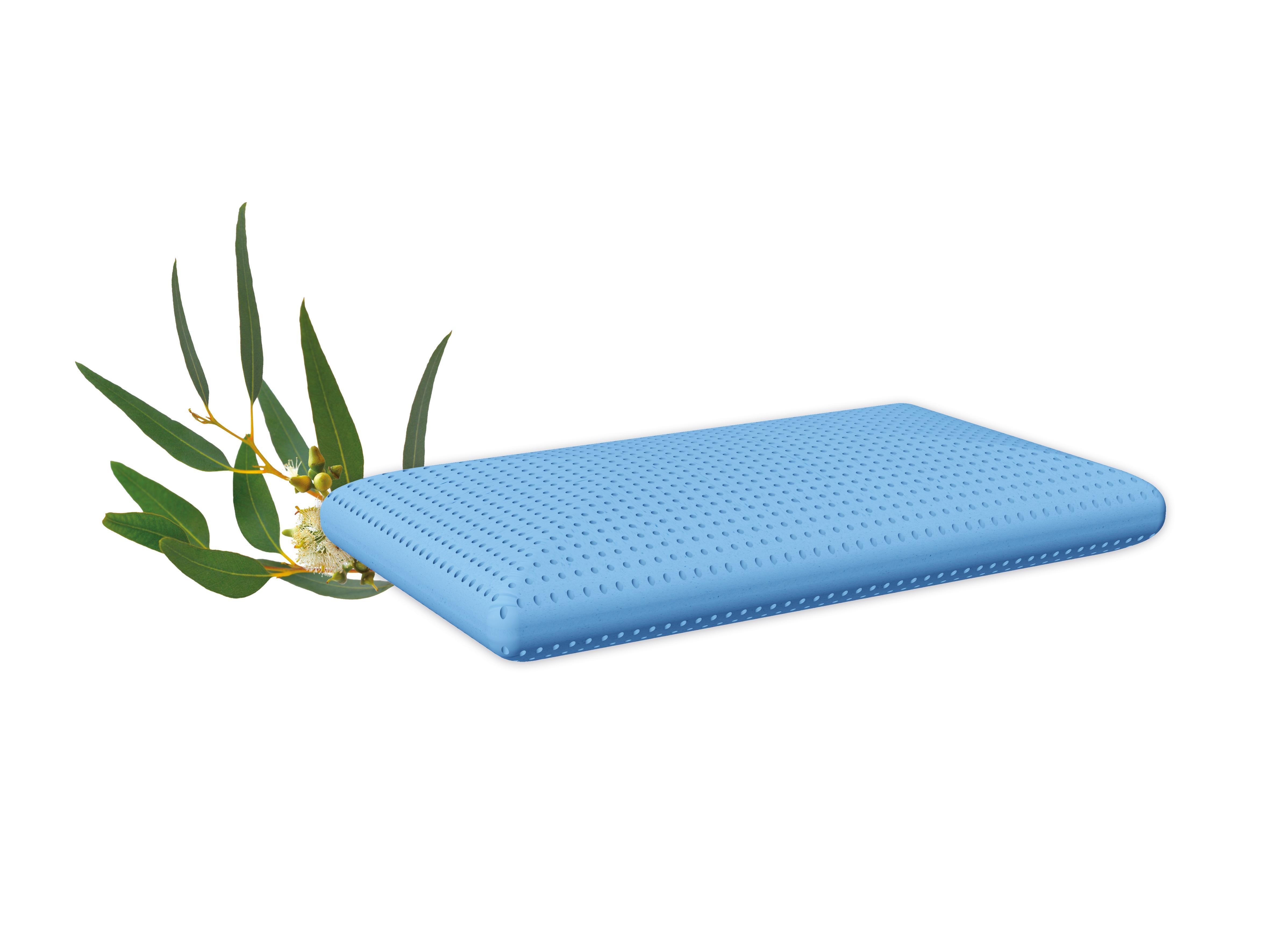 Duftkissen - Eukalyptus + Gratis Baumwoll&uuml;berzug