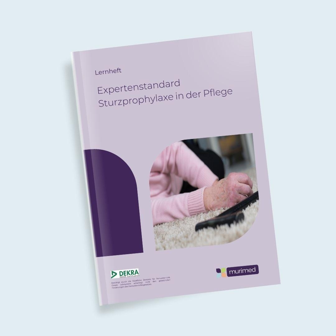 ES 01 - Expertenstandard Sturzprophylaxe in der Pflege