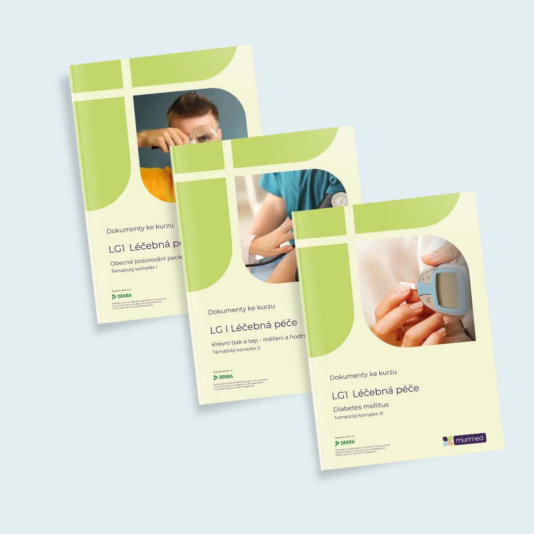 Grundlagen der einfachen Behandlungspflege LG1 deutsch-tschechisch Materiály kurzu I Skupina služeb - dravotní péče