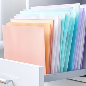 Organisation