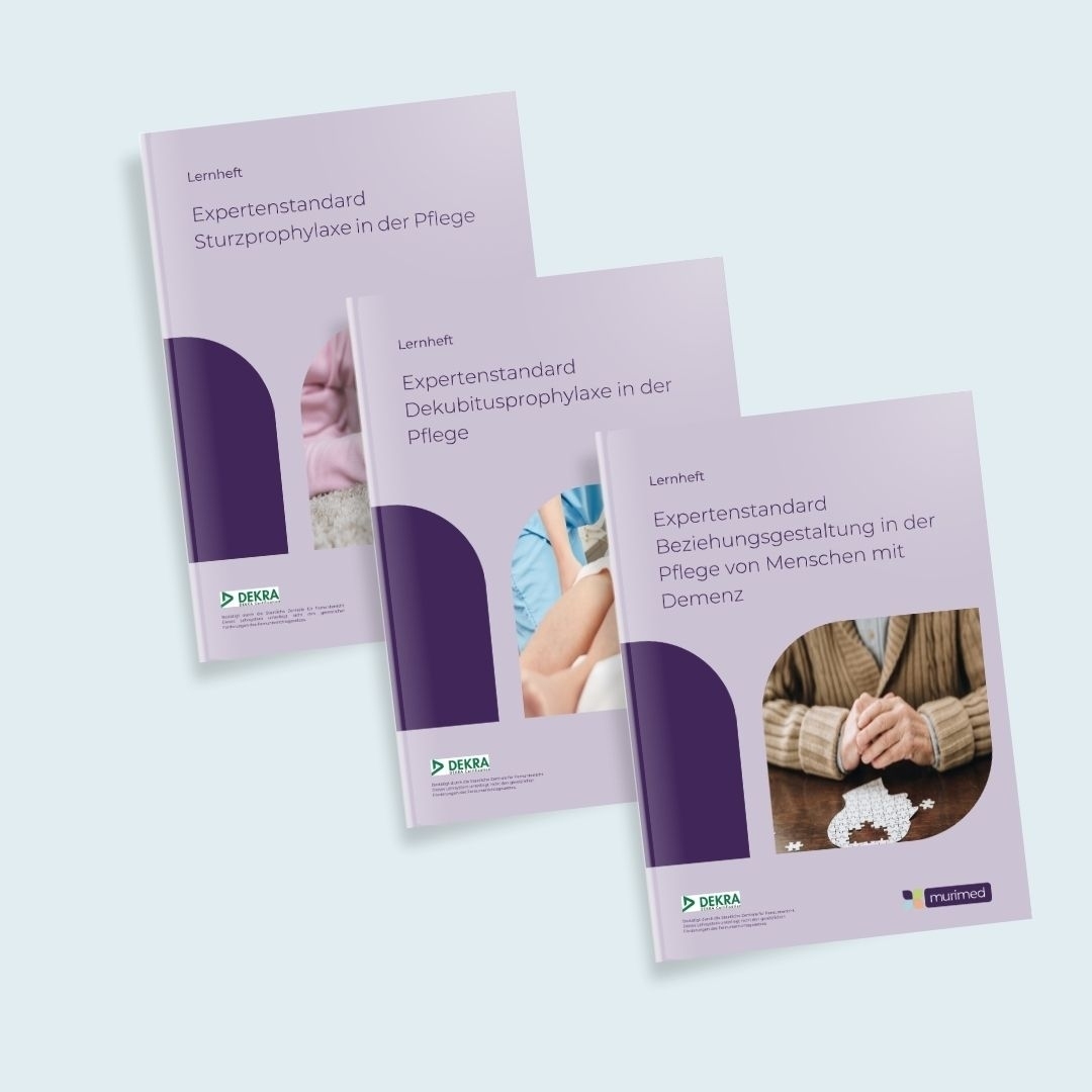 Lernheftpaket Expertenstandard (11 Hefte)